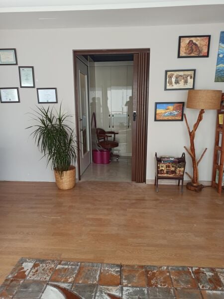 Sarpaş Akordiyon Kalın Kapı Camlı Ceviz  Desenli Katlanır Akordeon Pvc Anahtar Kilitli